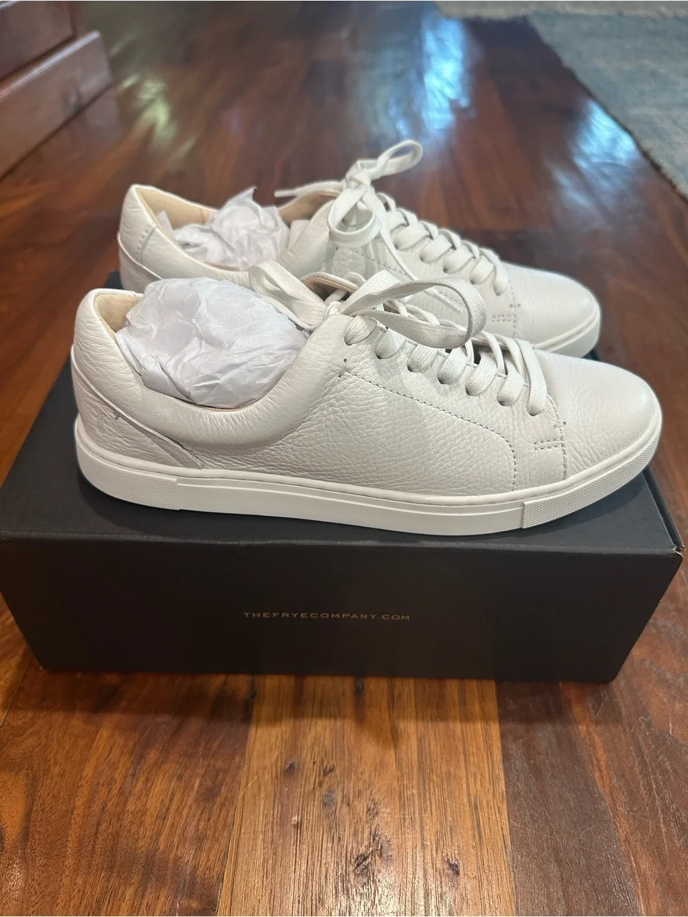 Frye low top